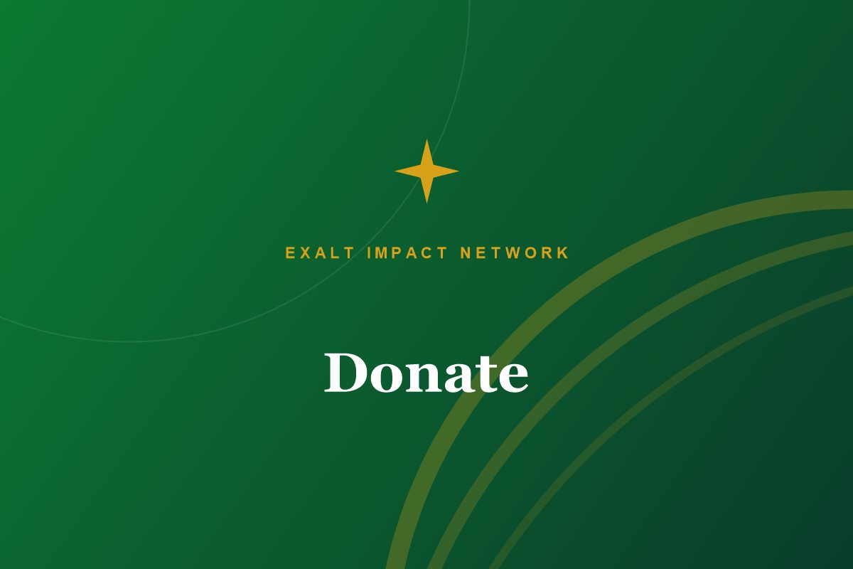 Support our work through donations