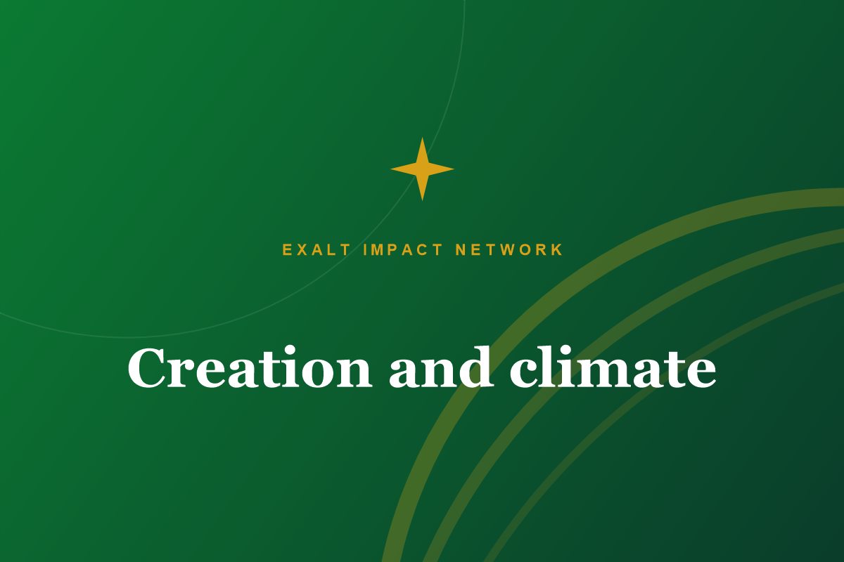 Environment and climate resilience