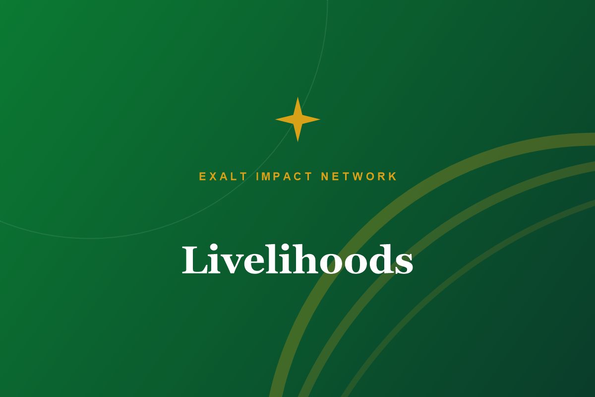 Economic empowerment and sustainable livelihoods